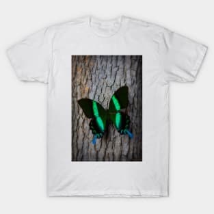 Green Blue Butterfly Resting On Tree T-Shirt